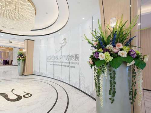 武汉美莱医疗美容医院怎么样